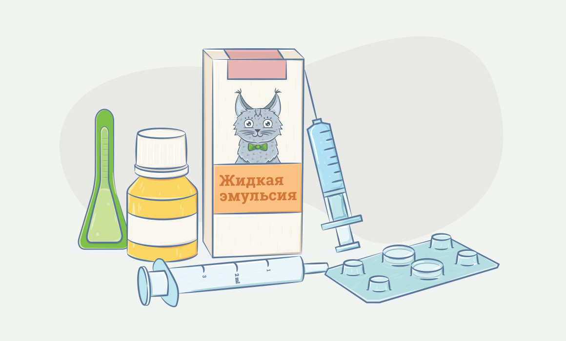 Гельминты у кошек и собак: препараты для лечения