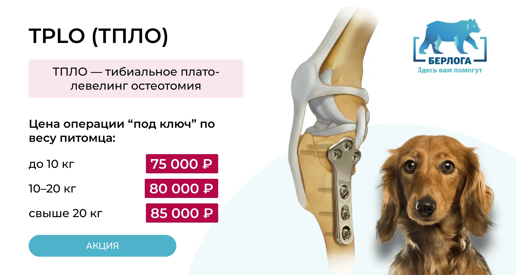 TPLO (ТПЛО — тибиальное плато-левелинг остеотомия) — современная ортопедическая операция, которую выбирают при разрыве передней крестообразной связки (частая причина хромоты и боли в колене у собак). Эту процедуру часто ищут по названию — поэтому мы сделали понятные условия и честную фиксированную стоимость.Цена по весу питомца: