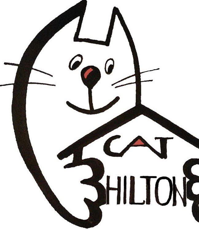 Гостиница Кот Хилтон
