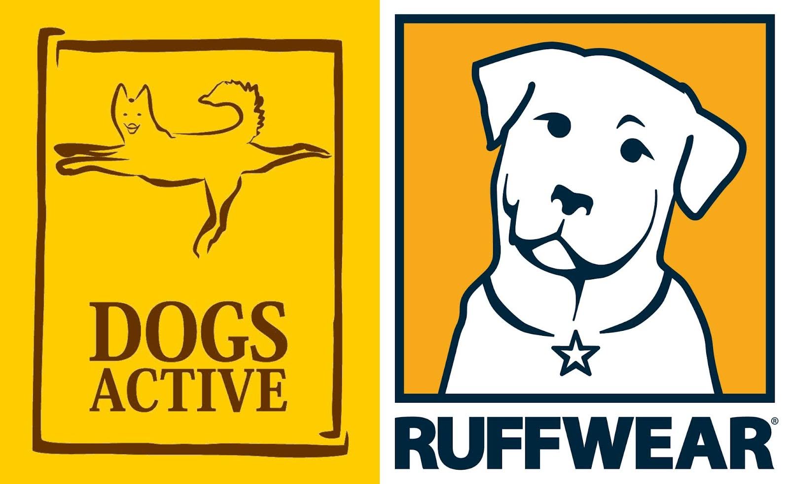 Dog Active