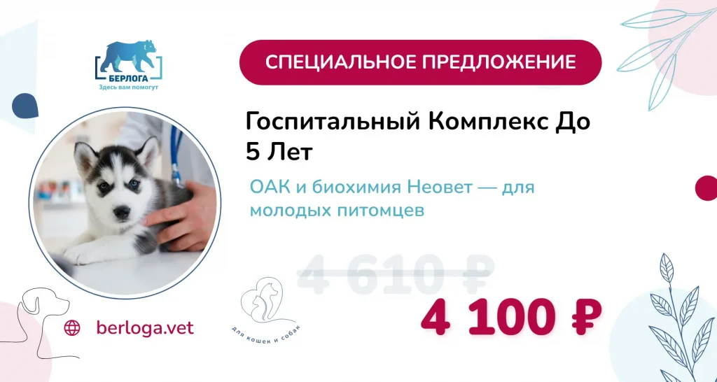 Госпитальный комплекс анализов для питомцев до 5 лет — акция лето 2026, клиника Берлога