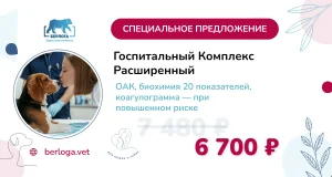 Госпитальный комплекс расширенный