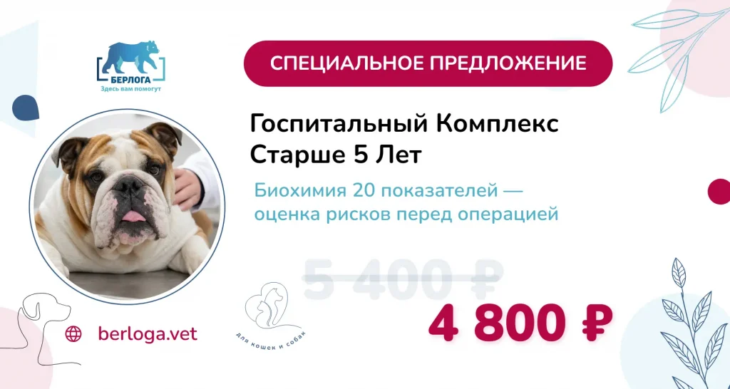 Госпитальный комплекс анализов для питомцев старше 5 лет — акция лето 2026, клиника Берлога