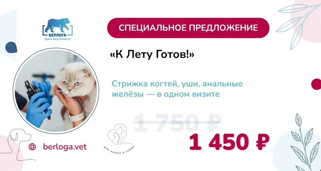 Комплекс ухода «К лету готов!» для питомца — акция лето 2026, клиника Берлога