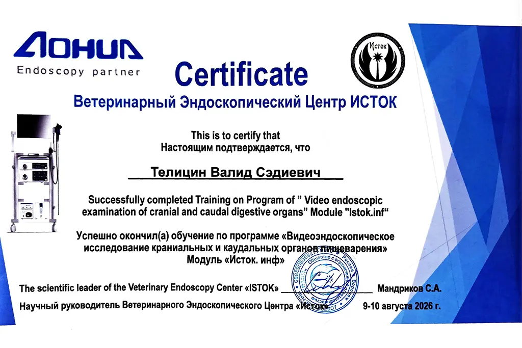 Скан сертификатов хирурга Телицин Валид Сэдиевич