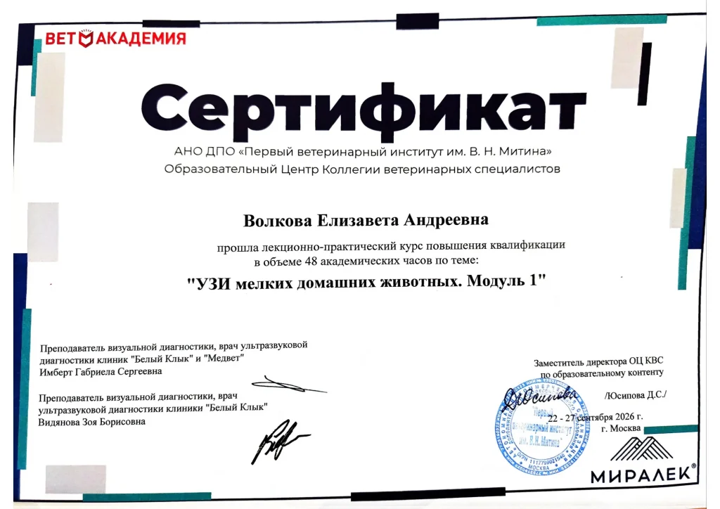 Сертификат Волковой Елизаветы Андреевны: курс «УЗИ мелких домашних животных. Модуль 1», 48 часов, 22–27 сентября 2026
