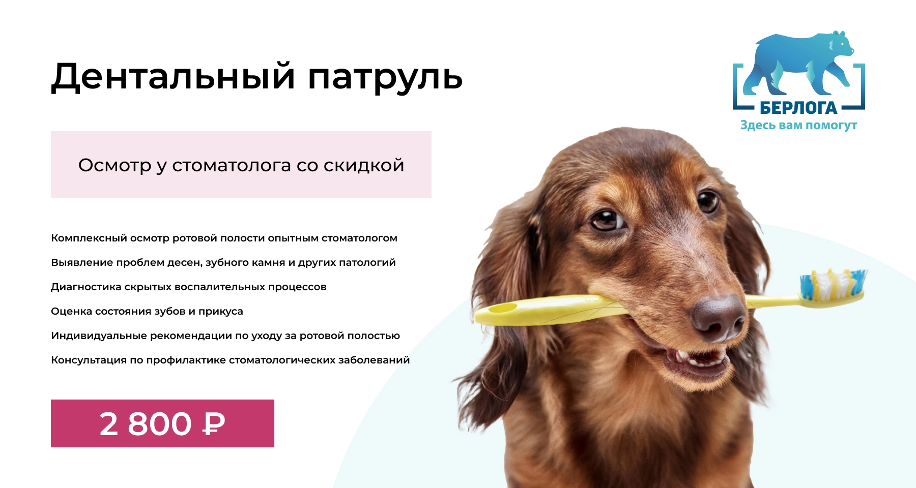 Профессиональная забота о здоровье ротовой полости вашего питомца