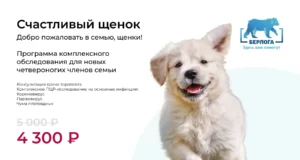 Счастливый щенок. Комплексная проверка для щенков без истории.