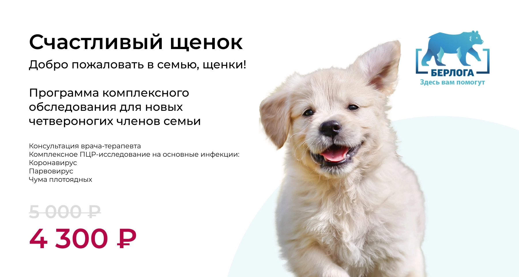 Программа комплексного обследования для новых четвероногих членов семьи