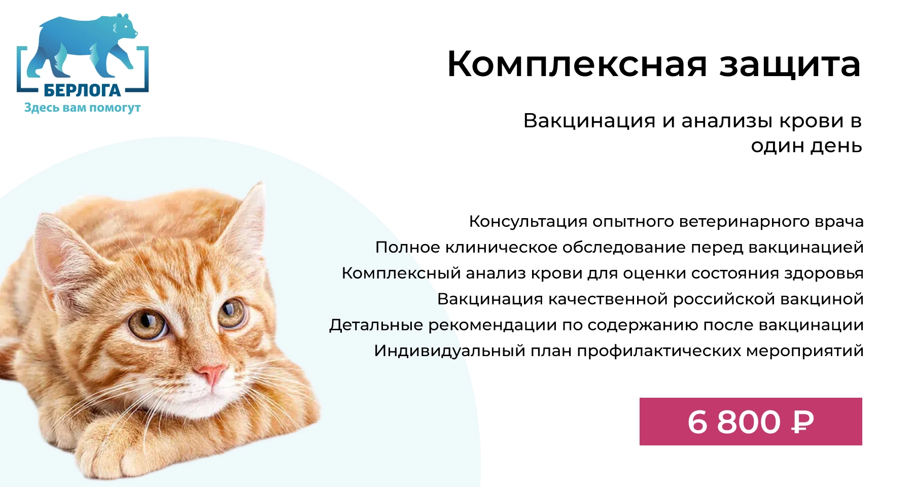Вакцинация и анализы крови в один день – забота о здоровье вашего питомца