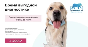 Время выгодной диагностики. Акция «Счастливые часы»