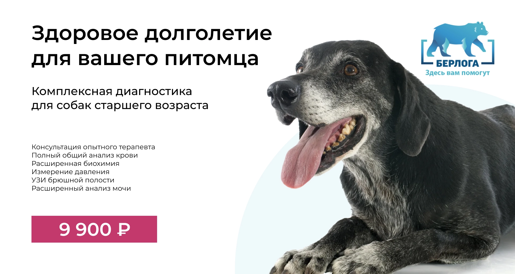Расширенная диагностика для собак старше 7 лет