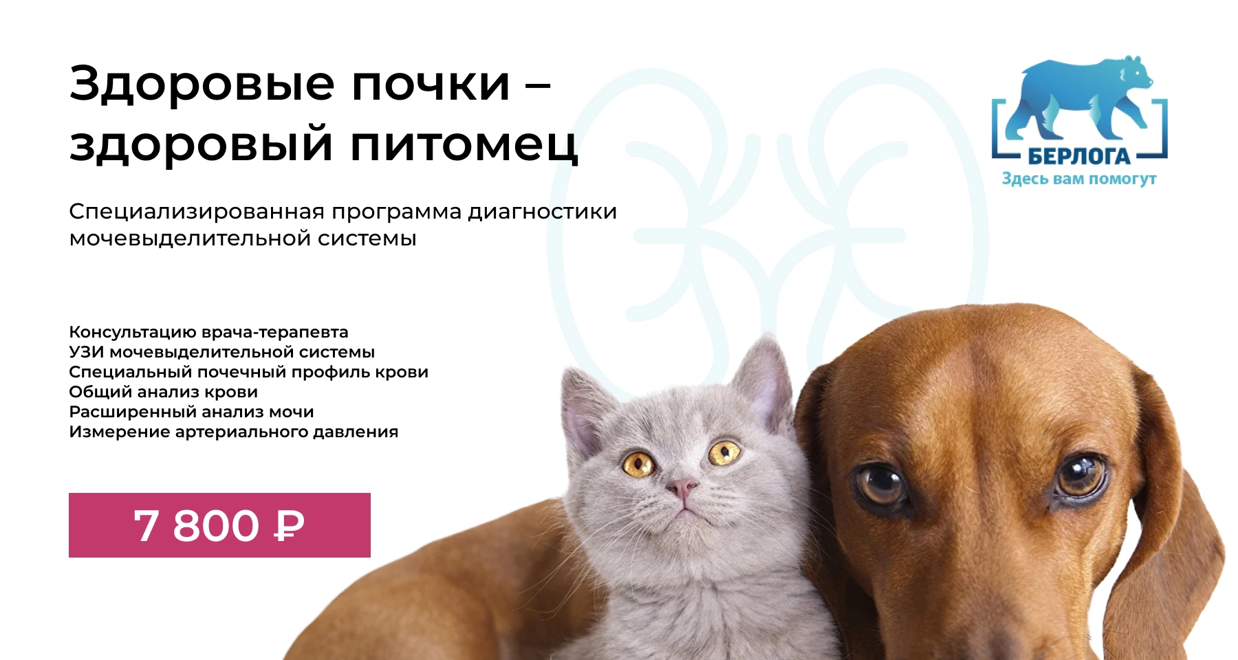 Специализированная программа диагностики мочевыделительной системы