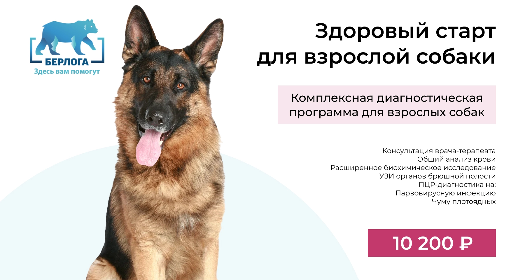 Комплексная диагностическая программа для взрослых собак