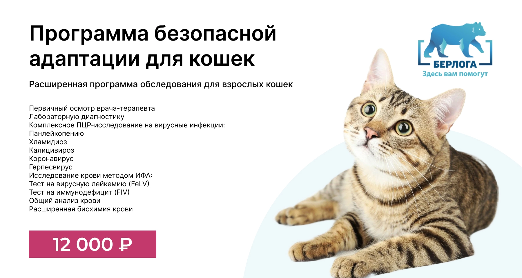 Расширенная программа обследования для взрослых кошек